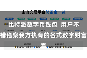 比特派数字币钱包  用户不错稽察我方执有的各式数字财富