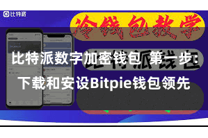 比特派数字加密钱包  第一步：下载和安设Bitpie钱包领先
