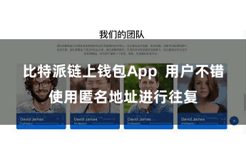 比特派链上钱包App  用户不错使用匿名地址进行往复